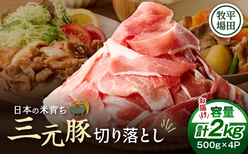 日本の米育ち平田牧場 三元豚切り落とし 500g×4パック（計2kg） 肉 お肉 にく 豚 豚肉 ブタ ぶた 三元豚 切り落とし 上質