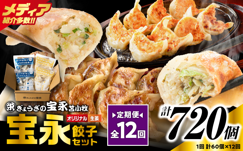 【定期便・全12回 毎月】手包み餃子 ぎょうざの宝永 生姜餃子60個セット（宝永餃子15個入×2袋・生姜餃子15個入×2袋） 定期便 定期 惣菜 総菜 餃子 ぎょうざ ギョウザ 生姜餃子 冷凍餃子 冷凍