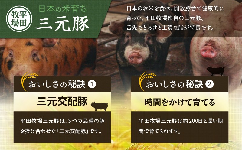 【全3回 毎月定期便】日本の米育ち平田牧場三元豚バラブロック 1.2kg 定期便 定期 肉 お肉 にく 豚 豚肉 ブタ ぶた 三元豚