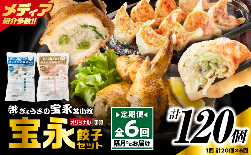 【定期便・全6回 隔月】手包み餃子 ぎょうざの宝永 手羽餃子20個セット（宝永餃子15個入×1袋・手羽餃子5個入×1袋） 定期便 定期 惣菜 総菜 餃子 ぎょうざ ギョウザ 手羽餃子 冷凍餃子 冷凍