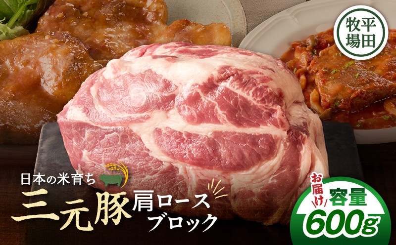 【平田牧場】三元豚肩ロースブロック 600g 肉 お肉 にく 豚 豚肉 ブタ ぶた 三元豚 ロース 肩ロース