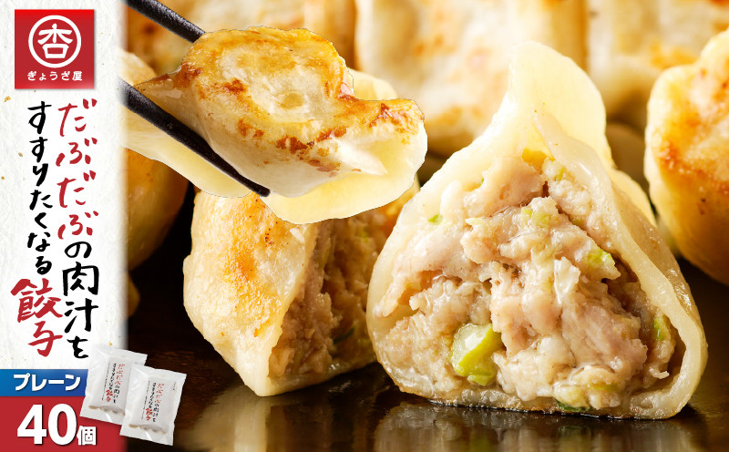 だぶだぶの肉汁をすすりたくなる餃子 40個 餃子 ぎょうざ ギョウザ 惣菜 総菜 豚 豚肉 ぶた 加工品 肉加工品