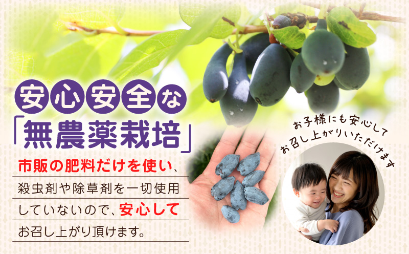 カナダ産 苫小牧市民還元 ハスカップジャム 435g（1瓶） ハスカップ ジャム スイーツ フルーツ 無農薬 食パン ヨーグルト トースト クラッカー 甘い