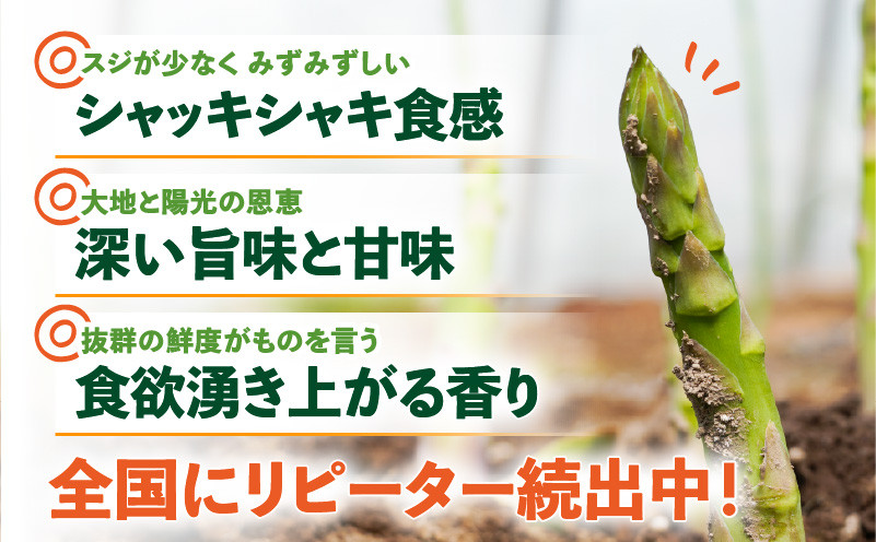 ロマンス農園 ろまんスティック Lサイズ 2kg アスパラガス 野菜 やさい Lサイズ 旨味 うま味 新鮮 やわらかい みずみずしい 糖度