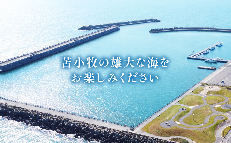 海の駅・勇払マリーナ　ご利用券 クーポン チケット 利用券 サービス券 旅行 券 旅 観光 海の駅 勇払マリーナ