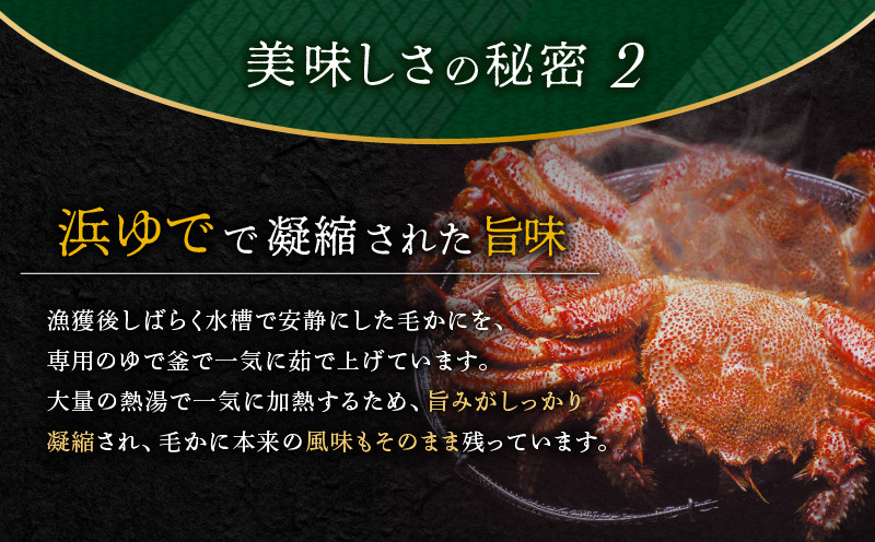 【14営業日以内に発送】【ゆでたて毛かに 約450〜550g×2尾】 カニ 蟹 かに 海産物 魚貝類 魚介類 甲殻類 毛ガニ 毛がに 毛蟹