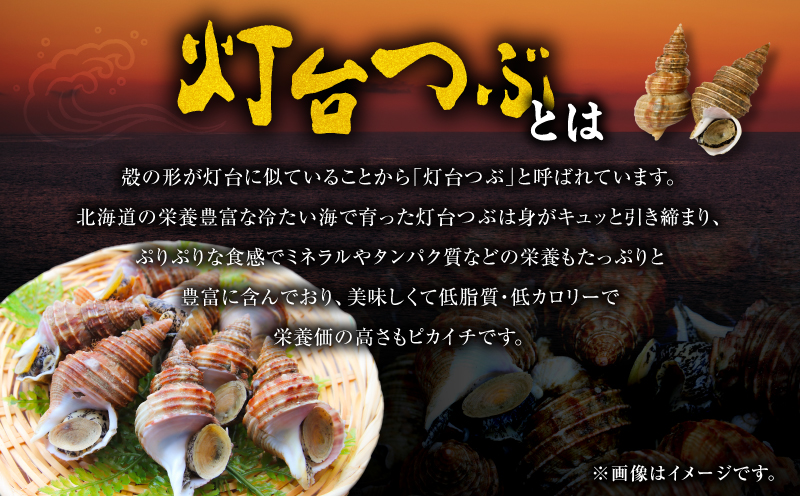 北海道苫小牧産 冷凍ボイル灯台つぶ（3パック入） つぶ 刺身 炉端焼き 煮付け 串焼き 冷凍ボイル 栄養豊富