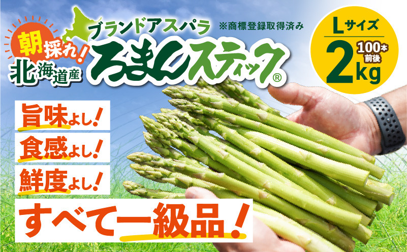 ロマンス農園 ろまんスティック Lサイズ 2kg アスパラガス 野菜 やさい Lサイズ 旨味 うま味 新鮮 やわらかい みずみずしい 糖度