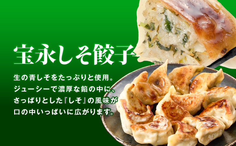 【定期便・全6回 毎月】手包み餃子 ぎょうざの宝永 しそ餃子60個セット（宝永餃子15個入×2袋・しそ餃子15個入×2袋） 定期便 定期 惣菜 総菜 ギョウザ しそ餃子 餃子 冷凍餃子 焼き餃子 水餃子
