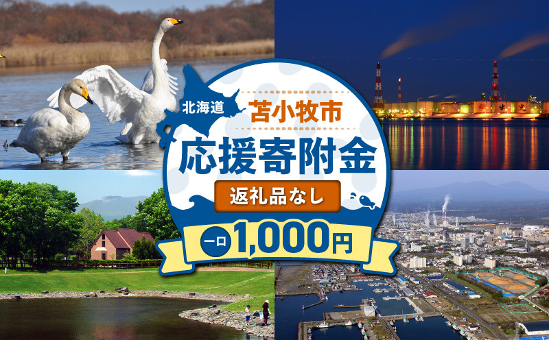 北海道苫小牧市応援寄附金（返礼品なし）1,000円 寄附 寄付 寄附金 寄付金 応援寄附金 応援寄付金 返礼品なし 雇用環境の整備 子育て環境の整備 移住促進