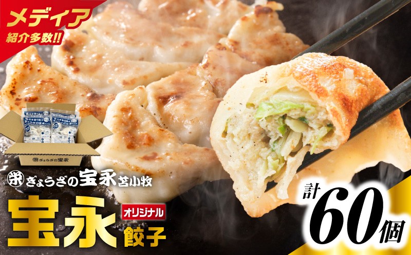 ぎょうざの宝永 宝永餃子 15個入セット（宝永餃子15個入×4袋）合計1.5kg 惣菜 総菜 餃子 ぎょうざ ギョウザ 冷凍餃子 冷凍 豚 ブタ 豚肉