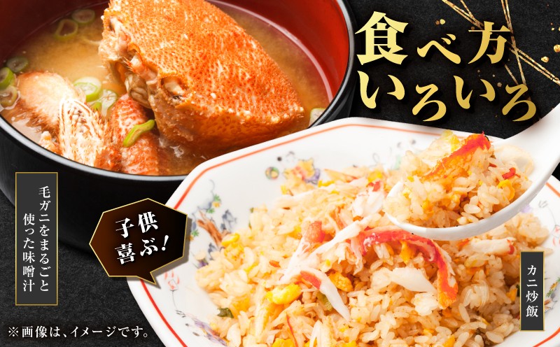 北海道苫小牧産冷凍ボイル毛ガニ（350g〜400g 2尾入）  蟹 カニ かに 海鮮 魚介 毛ガニ 毛がに 味噌汁 鍋