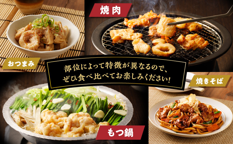 北海道樽前工房のホルモン 食べ比べ 6種セット 計1860g ホルモン 豚ホルモン 大腸ホルモン マルチョウ シマ腸 食べ比べセット 焼肉 バーベキュー BBQ 味噌ホルモン