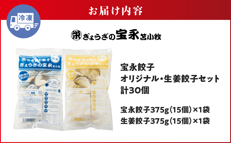 手包み餃子 ぎょうざの宝永 生姜餃子30個セット（宝永餃子15個入×1袋・生姜餃子15個入×1袋） 惣菜 総菜 餃子 ぎょうざ ギョウザ 生姜餃子 冷凍餃子 冷凍 豚 ブタ