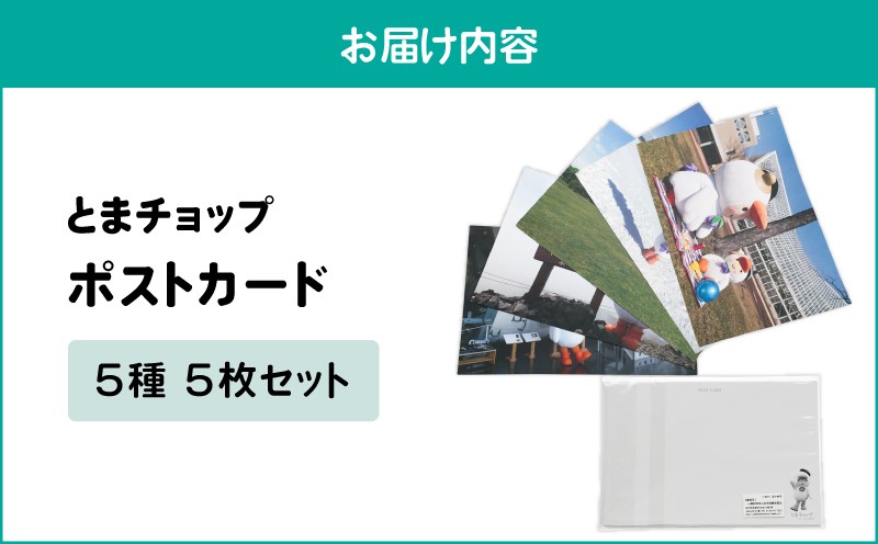 ポストカード 5枚セット とまチョップ キャラクター ご当地 ポストカード 苫小牧観光協会 ふるさと納税 苫小牧市 おすすめ ランキング プレゼント