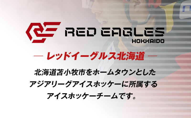BIGユニフォームベア・ホーム ぬいぐるみ おもちゃ テディベア 玩具 スポーツ 運動 アイスホッケー グッズ BIGベア ベア
