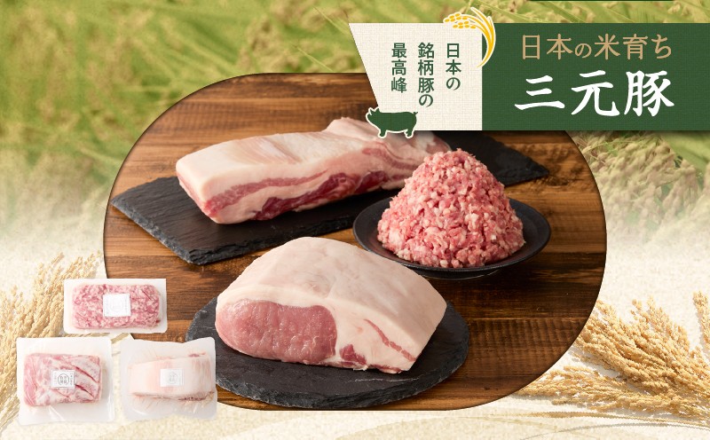 日本の米育ち平田牧場 三元豚ロースブロック（600g）・バラブロック（600g）・挽肉（300g）計1.5kg 肉 お肉 にく 豚 豚肉 ブタ ぶた 三元豚 ロースブロック バラブロック