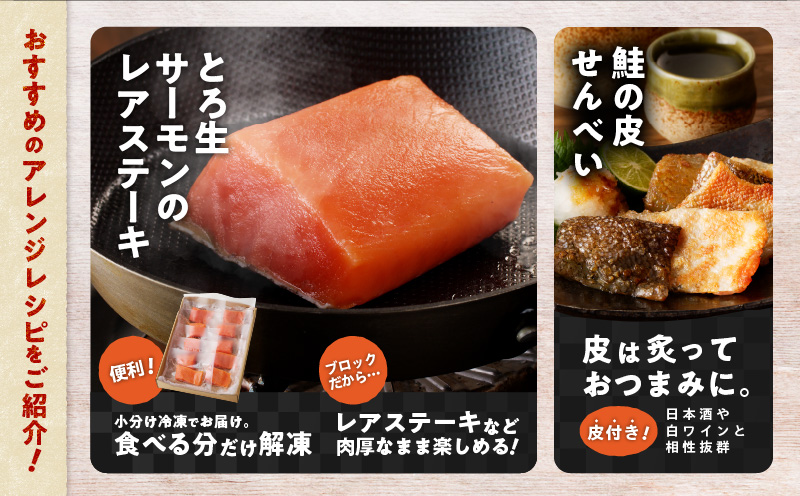 【全3回定期便（毎月）】【王子サーモン】生を超えた「とろ生サーモン」お刺身用ブロック 1kg 魚 魚介