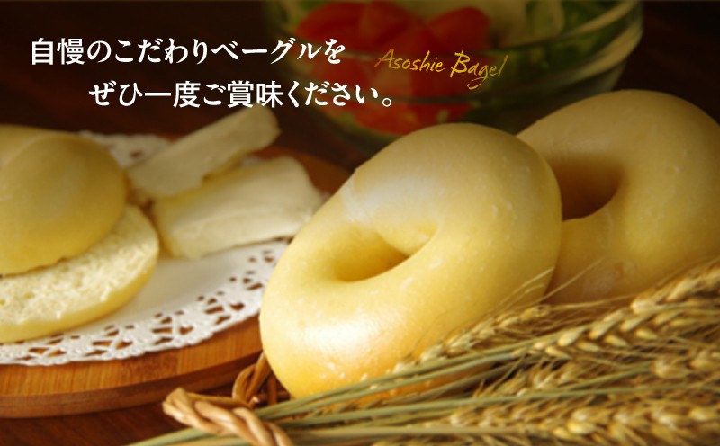 プレーンベーグル15個セット ベーグル プレーンベーグル パン 朝食 軽食 冷凍 ふるさと納税 NPO法人もなみ会アソシエベーグル 北海道 苫小牧市
