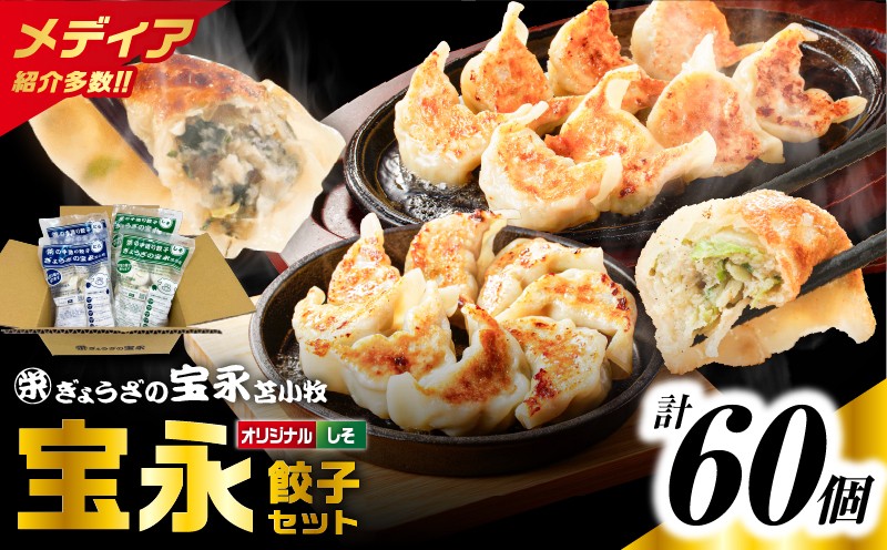 ぎょうざの宝永 しそ餃子セット（宝永餃子 15個入×2袋＆しそ餃子 15個入×2袋）合計1.5kg 惣菜 総菜 ギョウザ しそ餃子 餃子 冷凍餃子 焼き餃子 水餃子 おかず おつまみ