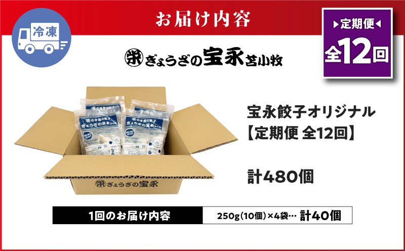 【全12回定期便（毎月）】宝永餃子10個入セット（宝永餃子10個入×4袋）合計1.0kg 定期便 定期 惣菜 総菜 ギョウザ 餃子 冷凍餃子 焼き餃子 水餃子 おかず