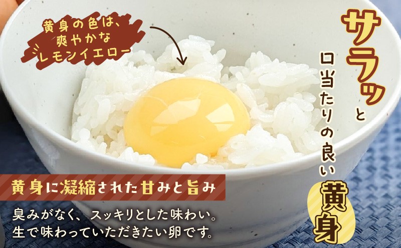 平飼いたまご 卵 たまご エッグ 平飼い卵 卵かけごはん HokkaidoGreenCompany ふるさと納税 北海道 苫小牧市 おすすめ