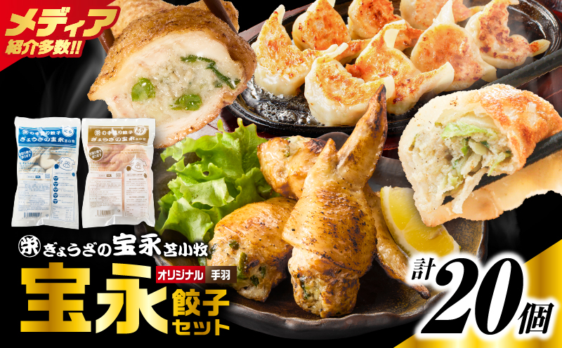手包み餃子 ぎょうざの宝永 手羽餃子20個セット（宝永餃子15個入×1袋・手羽餃子5個入×1袋） 惣菜 総菜 餃子 ぎょうざ ギョウザ 手羽餃子 冷凍餃子 冷凍 豚 ブタ