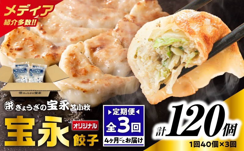 【全3回定期便（4ヶ月毎）】宝永餃子10個入セット（宝永餃子10個入×4袋）合計1.0kg 定期便 定期 惣菜 総菜 ギョウザ 餃子 冷凍餃子 焼き餃子 水餃子 おかず