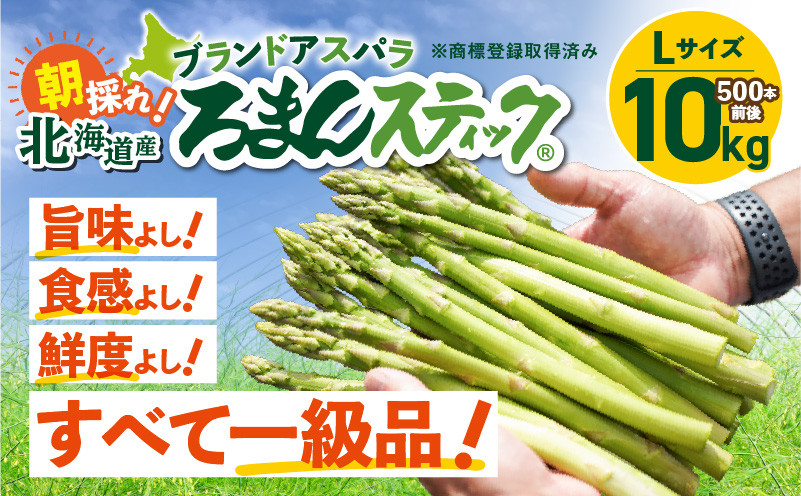 ロマンス農園 ろまんスティック Lサイズ 10kg アスパラガス 野菜 やさい Lサイズ 旨味 うま味 新鮮 やわらかい みずみずしい 糖度