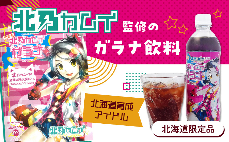 【ガラナ 500ml×24本】北乃カムイ 飲料 炭酸飲料 炭酸ドリンク 炭酸ジュース ジュース ガラナ ガラナドリンク ガラナジュース 炭酸 ソウルドリンク