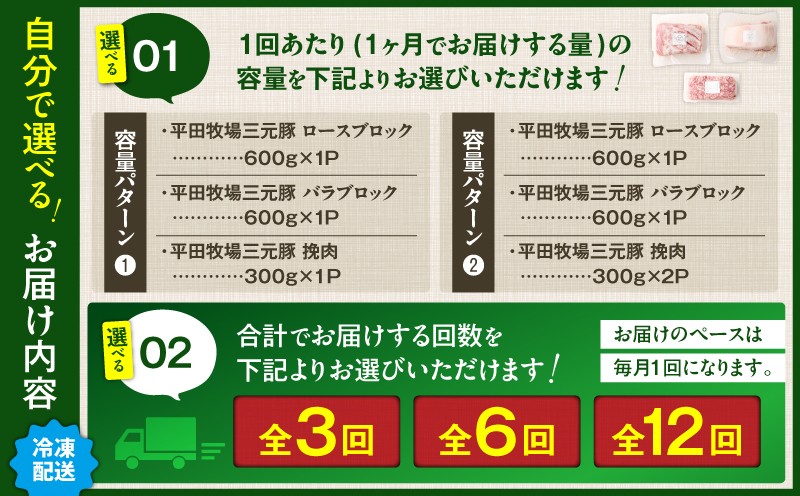 【全6回 毎月定期便】日本の米育ち平田牧場三元豚バラブロック 600g・豚ロースブロック 600g・豚挽肉 300g 定期便 定期 肉 お肉 にく 豚 豚肉 ブタ ぶた 三元豚