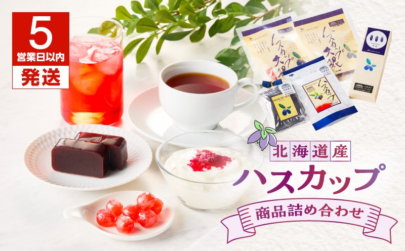 【5営業日以内に発送】【ハスカップ商品詰め合わせ】 HASKAP羊羹 ハスカップ ティーバッグ 濃縮顆粒 ロニセラ 大根 のど飴 ようかん フレーバーティー あめ