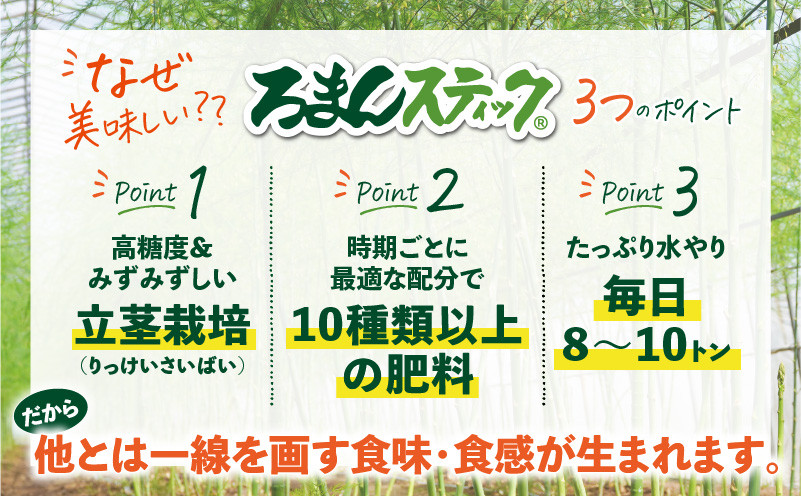 ロマンス農園 ろまんスティック 2Lサイズ 2kg アスパラガス 野菜 やさい 2Lサイズ 旨味 うま味 新鮮 やわらかい みずみずしい 糖度