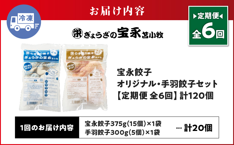 【定期便・全6回 毎月】手包み餃子 ぎょうざの宝永 手羽餃子20個セット（宝永餃子15個入×1袋・手羽餃子5個入×1袋） 定期便 定期 惣菜 総菜 餃子 ぎょうざ ギョウザ 手羽餃子 冷凍餃子 冷凍