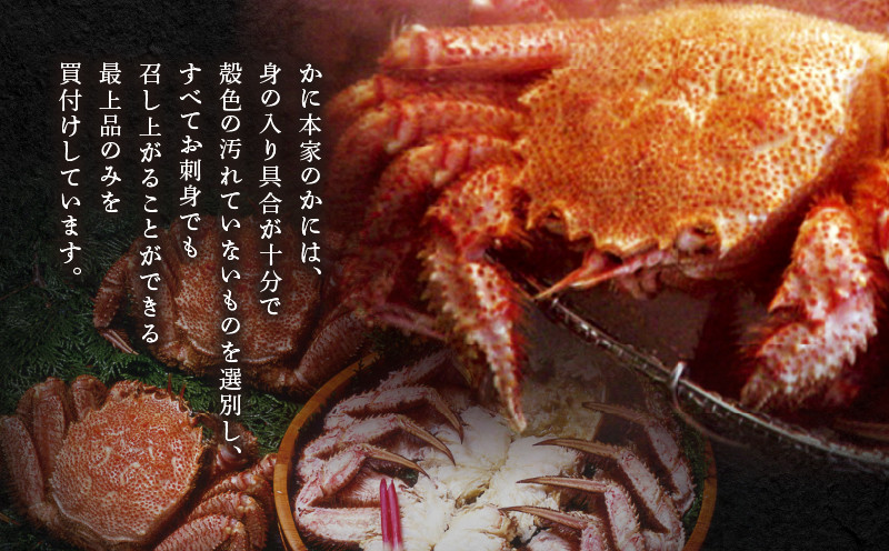 【14営業日以内に発送】【ゆでたて毛かに 約450〜550g×2尾】 カニ 蟹 かに 海産物 魚貝類 魚介類 甲殻類 毛ガニ 毛がに 毛蟹