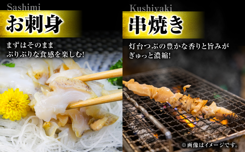 北海道苫小牧産 冷凍ボイル灯台つぶ（3パック入） つぶ 刺身 炉端焼き 煮付け 串焼き 冷凍ボイル 栄養豊富