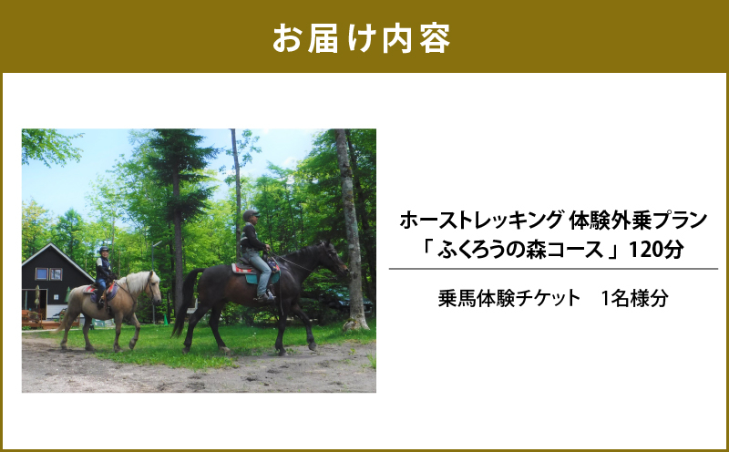 ホーストレッキング 体験外乗プラン 120分 「ふくろうの森コース」 山歩き トレッキング アクティビティ 体験チケット チケット 券 ホーストレッキング  レッスン 野外トレッキング