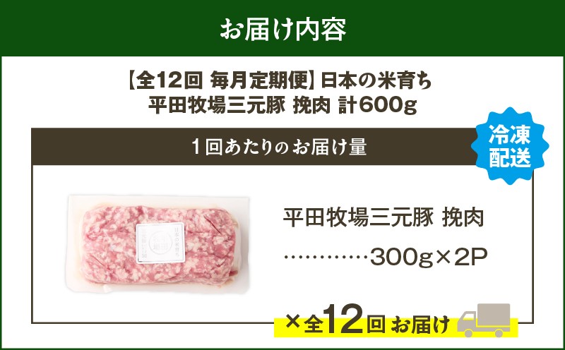 【全12回 毎月定期便】日本の米育ち平田牧場三元豚ひき肉 600g 定期便 定期 肉 お肉 にく 豚 豚肉 ブタ ぶた 三元豚