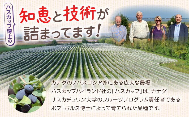 カナダ産 苫小牧市民還元 ハスカップジャム 435g（1瓶） ハスカップ ジャム スイーツ フルーツ 食パン ヨーグルト トースト クラッカー 甘い