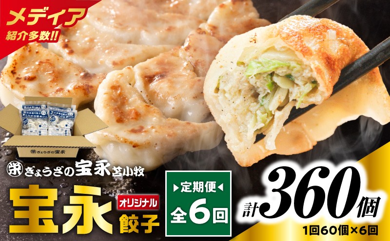 【全6回定期便（毎月）】ぎょうざの宝永 宝永餃子 15個入セット（宝永餃子15個入×4袋）合計1.5kg 定期便 定期 惣菜 総菜 餃子 ぎょうざ ギョウザ 冷凍餃子 冷凍 ぎょうざの宝永