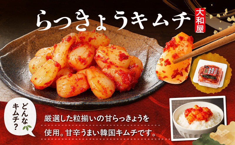 【10営業日以内に発送】大和屋特製キムチ！食べ比べセット（4種類） 漬物 お漬物 つけもの 惣菜 総菜 老舗 キムチ 韓国風キムチ 白菜キムチ 白菜