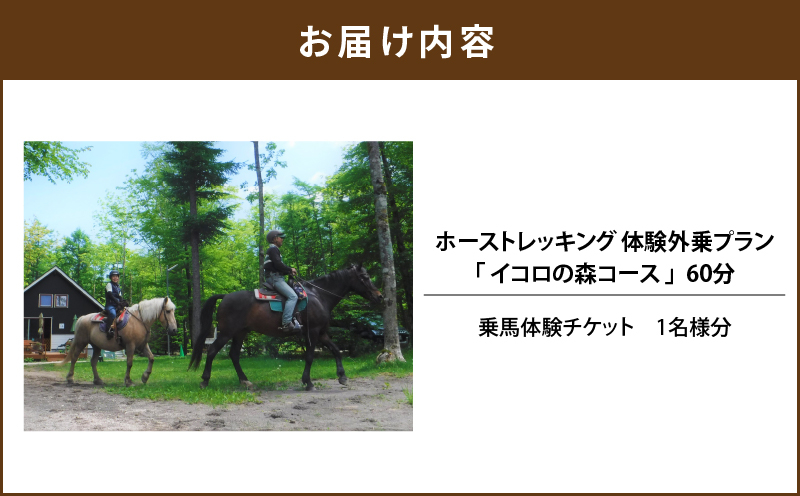 ホーストレッキング 体験外乗プラン 60分 「イコロの森コース」  山歩き トレッキング アクティビティ 体験チケット チケット 券 ホーストレッキング  レッスン