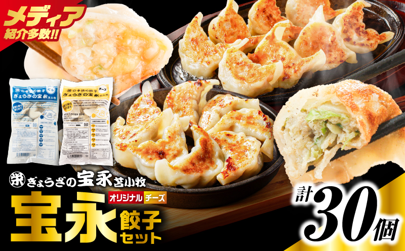 手包み餃子 ぎょうざの宝永 チーズ餃子30個セット（宝永餃子15個入×1袋・チーズ餃子15個入×1袋） 惣菜 総菜 餃子 ぎょうざ ギョウザ 冷凍餃子 冷凍 豚 ブタ 豚肉