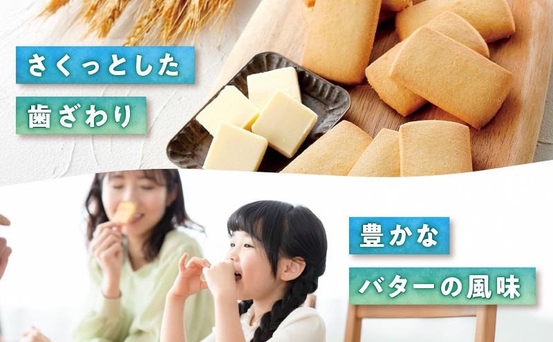 北海道バターサブレ 45枚入り バターサブレ サブレ 北海道バターサブレ 焼菓子 香ばしい お菓子 菓子 洋菓子 スイーツ デザート