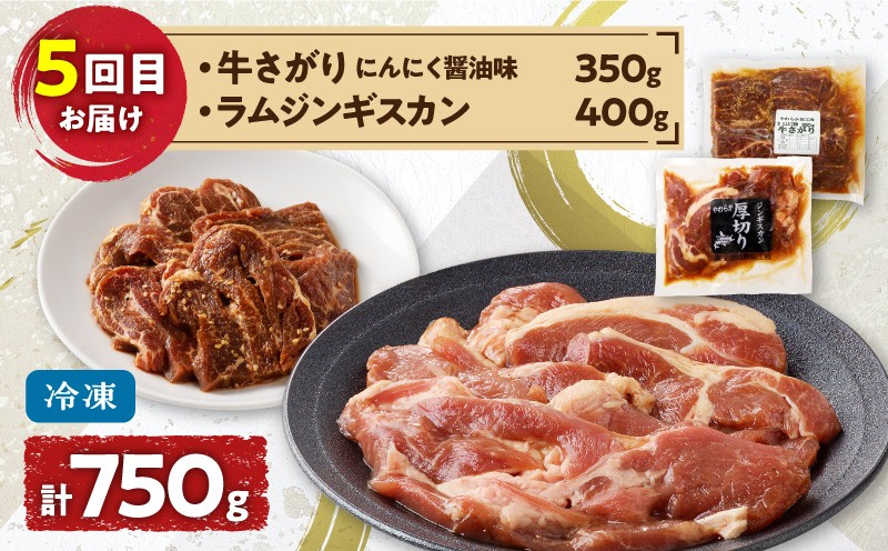 【全5回定期便】焼肉6種セット＋ジンギスカン4種セット 焼肉 焼き肉 ジンギスカン 肉 牛 豚 鶏 羊 ラム マトン