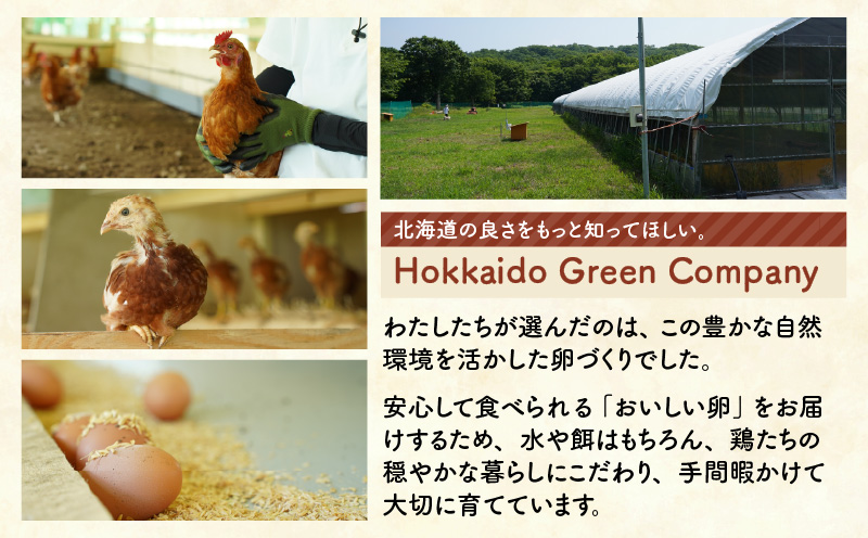 平飼いたまご 卵 たまご エッグ 平飼い卵 卵かけごはん HokkaidoGreenCompany ふるさと納税 北海道 苫小牧市 おすすめ