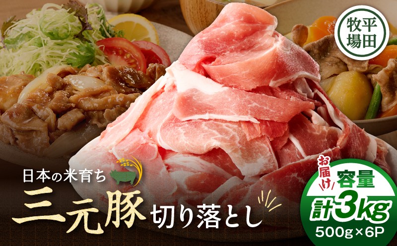 日本の米育ち平田牧場 三元豚切り落とし 500g×6パック（計3kg） 肉 お肉 にく 豚 豚肉 ブタ ぶた 三元豚 切り落とし 上質