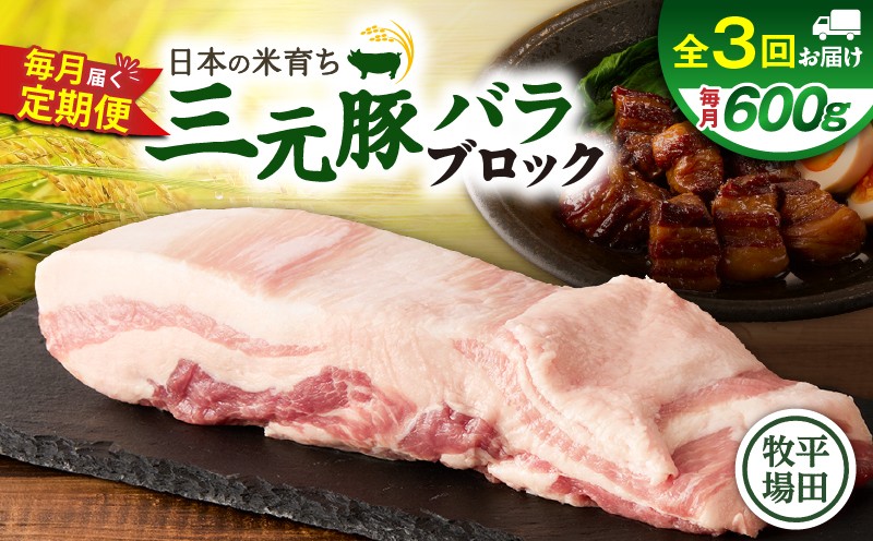 【全3回 毎月定期便】日本の米育ち平田牧場三元豚バラブロック 600g 定期便 定期 肉 お肉 にく 豚 豚肉 ブタ ぶた 三元豚