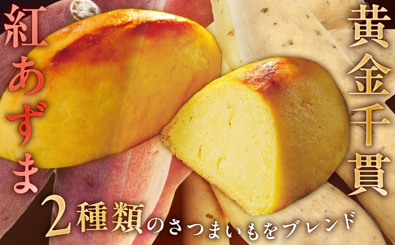 黄金スイートポテト 15個 スイートポテト 菓子 お菓子 洋菓子 デザート おやつ スイーツ さつまいも サツマイモ 薩摩芋