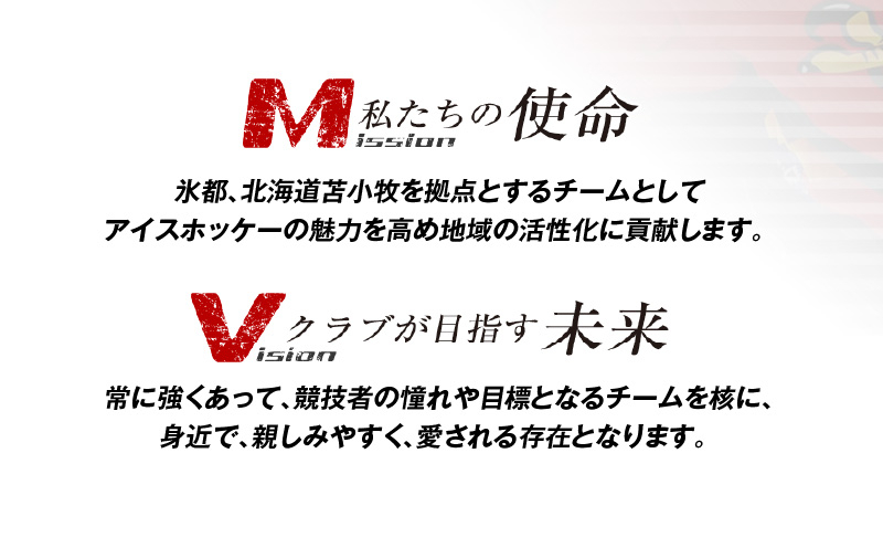 【鷲斗くんキーホルダー 縦15cm×横5cm】レッドイーグルス北海道 レッドイーグルス北海道 レッドイーグルス アイスホッケー 応援グッズ 鷲斗くん キーホルダーホッケー 雑貨 かわいい 北海道 キャラクター